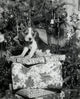 Close-up of a beagle sitting on a stack of Christmas presents poster print.