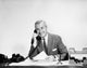 Businessman talking on the telephone in an office poster print