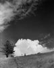 Vintage photograph of two children walking in a field