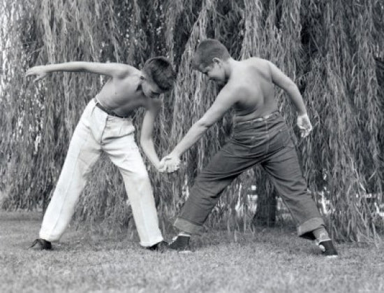 Two boys arm-wrestling on a lawn poster print.