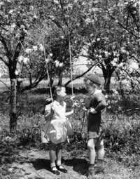 Vintage photograph of a boy talking to a girl by a swing under blossoming trees.