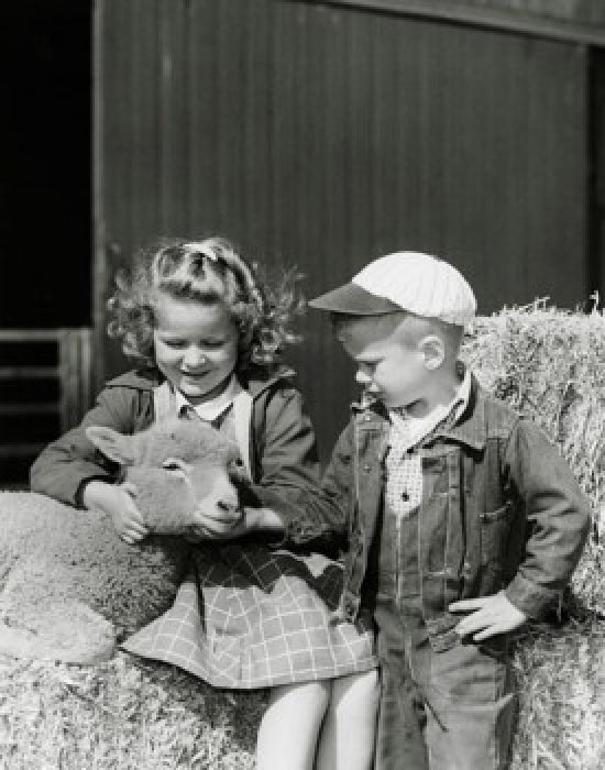 Poster print of a girl and her brother looking at a lamb, perfect for children's decor.