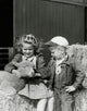 Poster print of a girl and her brother looking at a lamb, perfect for children's decor.
