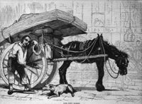 The City Horse poster print by Augustus Hoppin showcasing urban equestrian life.