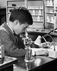 Schoolboy looking through a microscope poster print