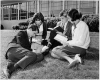 Two young men and two women reading books in a serene setting poster print.