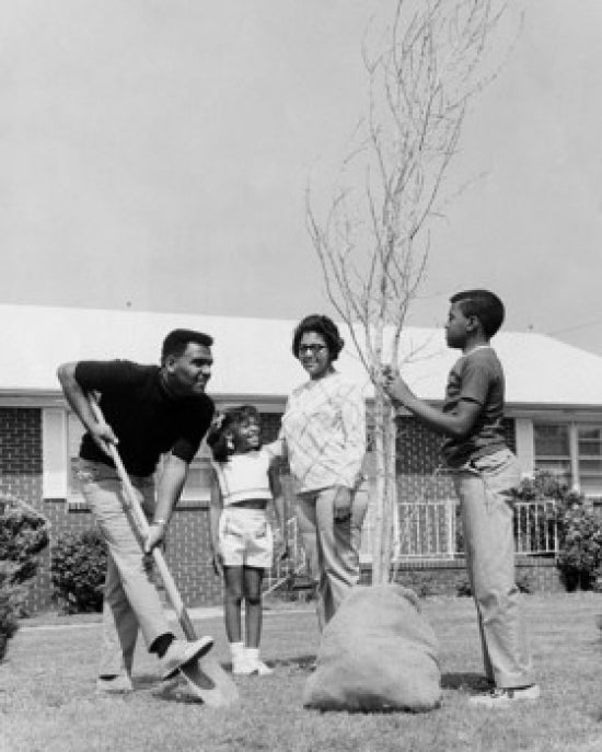 Family Planting a Tree Poster Print showcasing a family planting a tree together.