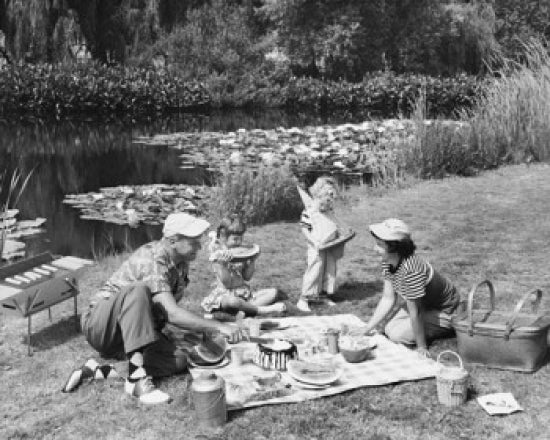 Family Picnic by the Pond Poster Print showcasing a family enjoying a sunny day by the water