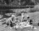 Family Picnic by the Pond Poster Print showcasing a family enjoying a sunny day by the water