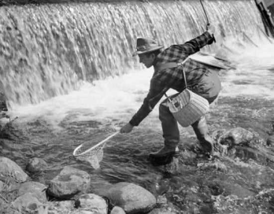 Mid adult man fly fishing in a river poster print