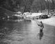 Mid adult man fly-fishing in a lake poster print
