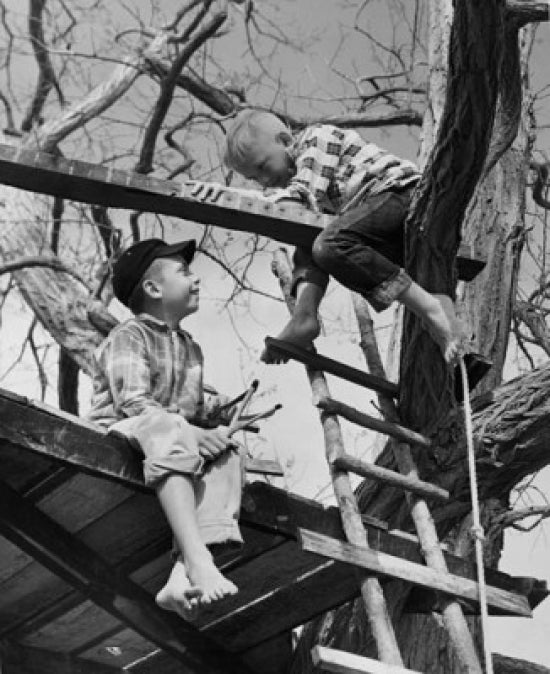 Two boys playing in a tree house poster print
