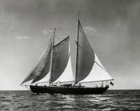 Sailboat in the Sea Poster Print showcasing a tranquil ocean scene.