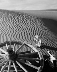 High angle view of a wagon wheel and skulls in Death Valley, California poster print