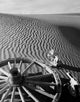 High angle view of a wagon wheel and skulls in Death Valley, California poster print