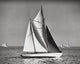 Sailboats in the Sea Poster Print showcasing vibrant nautical art.