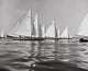 Sailboats at a Regatta in the Ocean Marblehead Race Week Poster Print