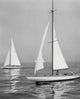 Sailboats in the Sea Poster Print showcasing serene ocean view