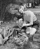 Young Woman Gardening Poster Print showcasing a serene gardening scene.