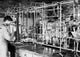 Scientist conducting research in a laboratory poster print