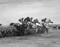 Three jockeys riding horses in a race poster print