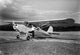 Elegant poster print featuring a woman silhouette in front of an airplane.