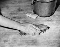 Close-up of a young woman cleaning hardwood floor with a brush.