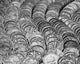 High angle view of coins arranged in a row poster print.