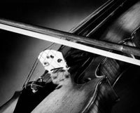 Close-Up of a Violin Poster Print showcasing intricate details.