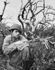 Close-up of an army soldier holding a rifle with bayonet poster print.