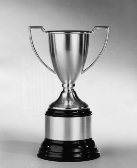 Close-up of a trophy poster print showcasing gleaming details.