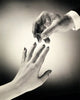 Close-up of a man's hand placing a ring on a woman's finger poster print.