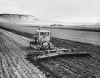 Tractor pulling a harrow in a wheat field poster print