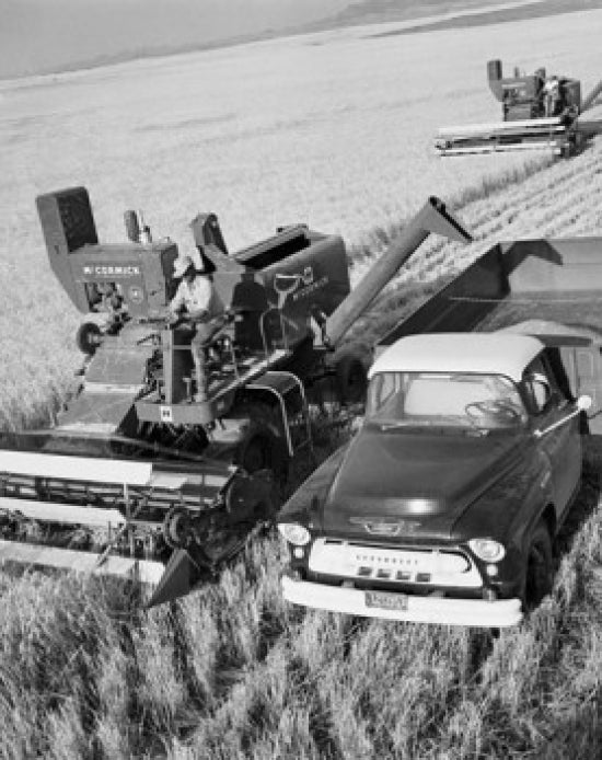 High angle view of a farmer using a combine harvester in a Montana field.
