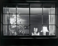 Portrait of a Girl Looking Through a Window Poster Print