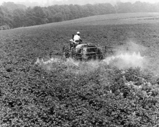 Farmer spraying insecticide in a potato field poster print