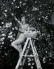 Young woman picking oranges from a tree poster print.