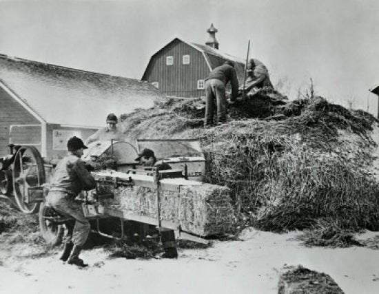 Baling Hay Poster Print showcasing rural life and charm.