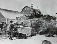 Baling Hay Poster Print showcasing rural life and charm.