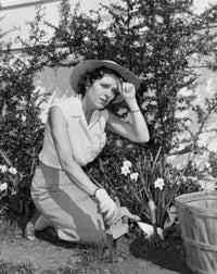 Young Woman Gardening Poster Print showcasing nature's beauty.