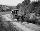 Milkman delivering milk on a horse cart in Ryegate, Vermont Poster Print