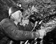 Miner Using a Jackhammer Poster Print showcasing industrial strength and determination.