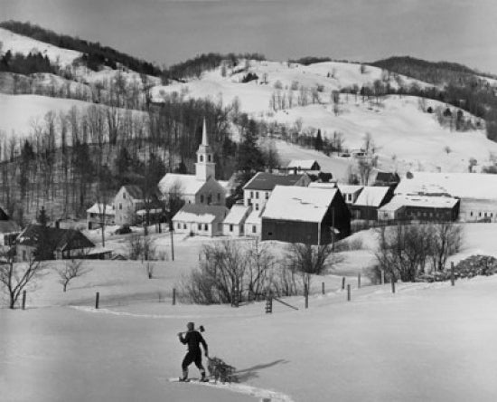 High angle view of a man pulling a Christmas tree on snow poster print