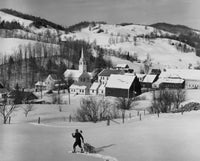 High angle view of a man pulling a Christmas tree on snow poster print
