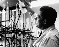 Side profile of a researcher conducting a scientific experiment poster print.