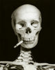 Close-up of a human skeleton with a burning cigarette poster print.