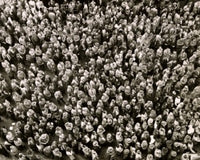 High angle view of a group of people standing poster print, showcasing community and togetherness.