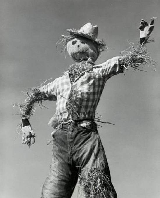 Low angle view of a scarecrow poster print showcasing rural charm.