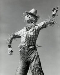 Low angle view of a scarecrow poster print showcasing rural charm.
