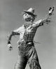 Low angle view of a scarecrow poster print showcasing rural charm.